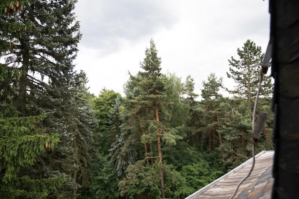 Villa Augustusberg Petrovice  Bagian luar foto
