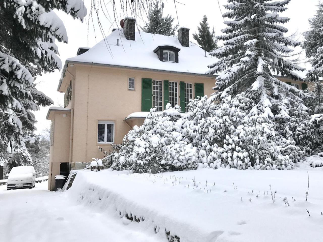 Villa Augustusberg Petrovice  Bagian luar foto
